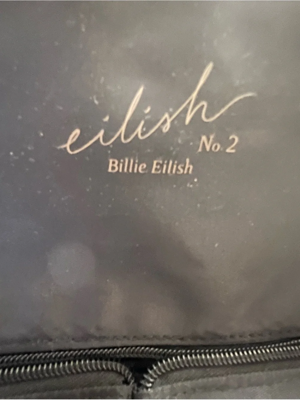 Lush Black Men's Roll-Top Backpack